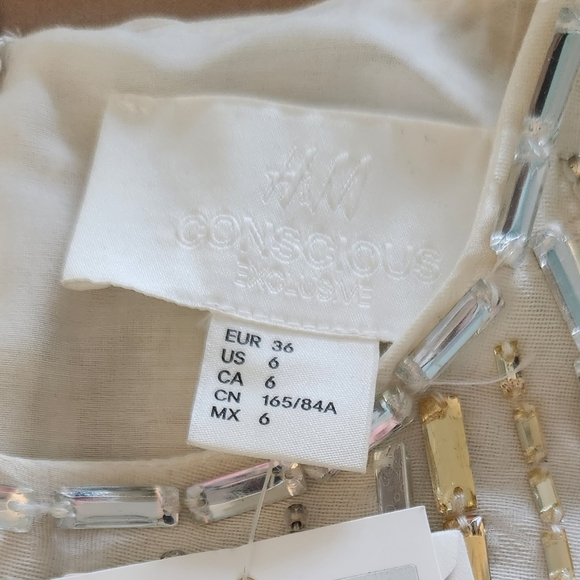 H&M Conscious Collection Embroidered Silk-Blend Dress Crown Princess Victoria - Picture 4 of 4